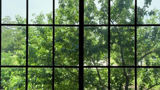 Green Trees Sway Outside a Gridded Window on a Sunny Day in Nature