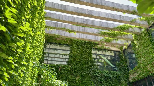 Eco-Friendly Building Covered in Lush Green Vines on Sunny Day