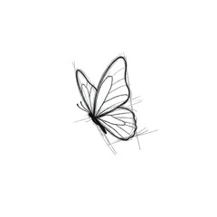 Naklejka premium Butterfly sketch in flight isolated on white background