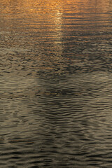 Golden sunset light reflecting on rippled sea water surface, abstract natural background © Ricardo