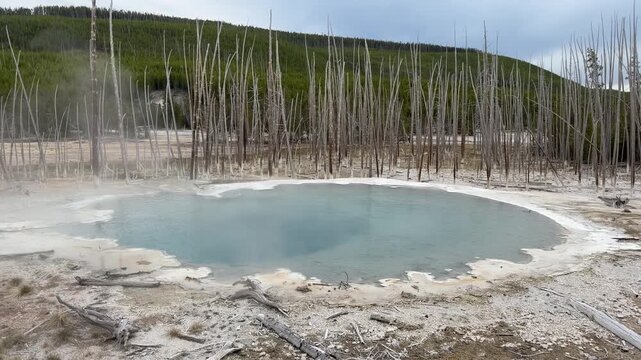 Cistern Spring in Norris Geyser Basin, Yellowstone