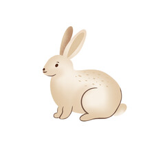 Obraz premium Boho Nursery Bunny Illustration in Neutral Pastel Tones