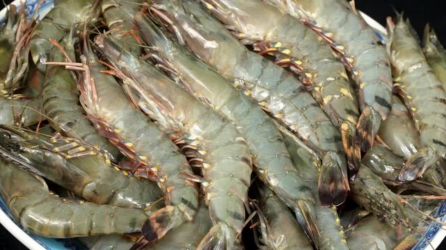 Fresh raw black tiger prawns rotating slowly on a dish, highlighting their natural patterns and textures.