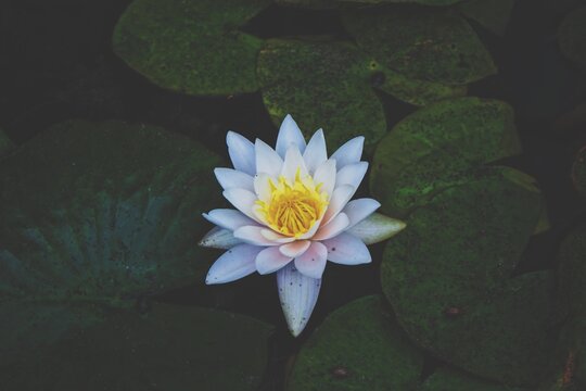 Processed with VSCO with c1 preset