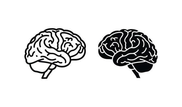 Detailed illustration showing side views of two human brain hemispheres with distinct outlines for anatomical study purposes.