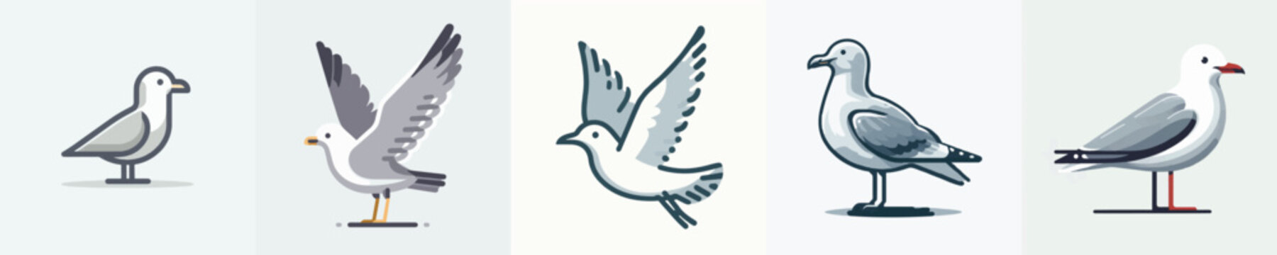 Seagull bird Vector Illustration