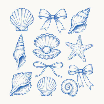 Fun summer beach illustration of seashells and bows