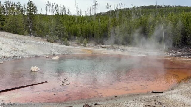 Echinus Geyser in Norris Geyser Basin, Yellowstone