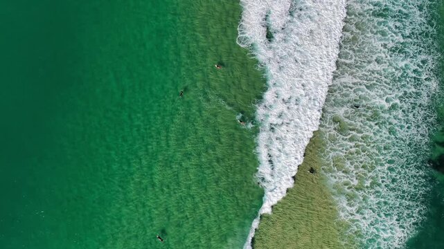 Aerial video capturing a group of surfers waiting beyond the break while one rider catches a wave near One Mile Beach, Forster, NSW, Australia