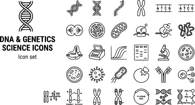 DNA Genetics Science Technical Line Art Icon Set Double Helix RNA Chromosome Gene Cell Division Nucleus Mitochondria Ribosome CRISPR PCR Gel Electrophoresis Virus Bacteria 25 Icons Editable Strokes 