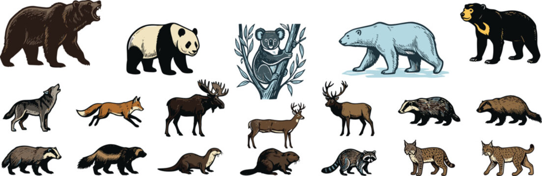 Forest Wildlife Animal Collection Featuring Bears, Deer, Fox, Wolf, Lynx, Beaver, Koala, and Other Woodland Mammal Illustrations