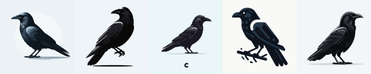 Fototapeta premium Raven Vector Illustration