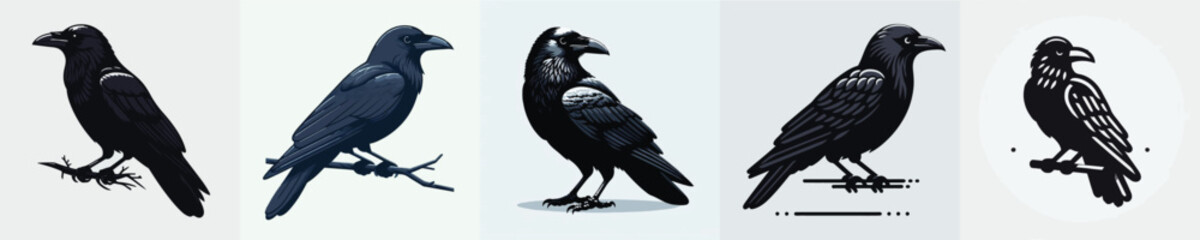 Fototapeta premium Raven Vector Illustration
