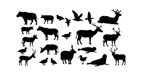 Obraz premium Collection of various wild animal silhouettes vector art