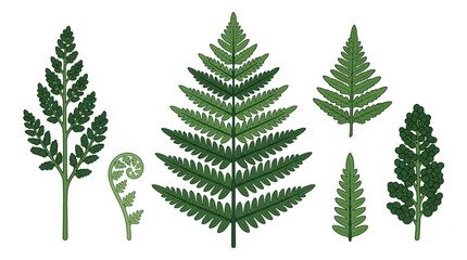 Fototapeta premium Vibrant green hand-drawn evergreen tree illustrations on clean white background, concept for nature conservation, educational materials, and eco-friendly branding designs