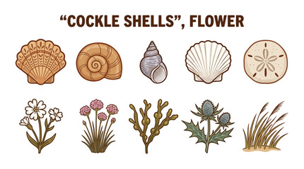 Collection of Seashells and Coastal Flora. © Jesica