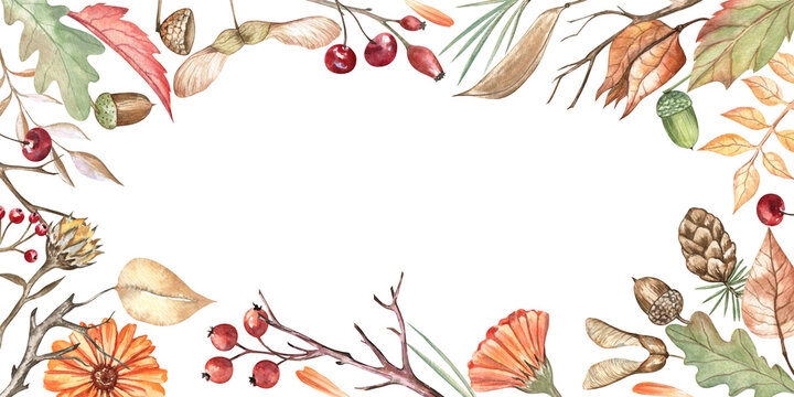 Autumn botanical watercolor frame the size of a long envelope. Elegant hand-drawn composition from autumn leaves, acorns, berries, flowers, and twigs; for greeting cards, invitations, cups decoration