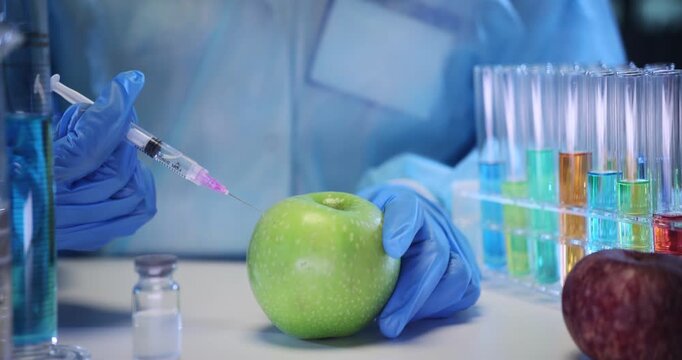 Laboratory worker uses syringe to inject medicine into green apple. Scientific worker injects transparent medicinal liquid into apple for bioanalysis