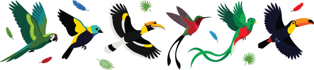 Exotic Tropical Birds Vector Illustration Set Featuring Flying Parrot, Toucan, Hornbill, Hummingbird, and Quetzal for Jungle and Wildlife Conservation Designs © Najir
