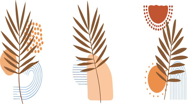 An illustration of plants with abstract shapes and dots on a white background called 14