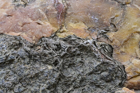 Macro View of a Geological Specimen with Mica Embedded in Quartz with Oxides and Underlying Protolith Continental Crust Schist