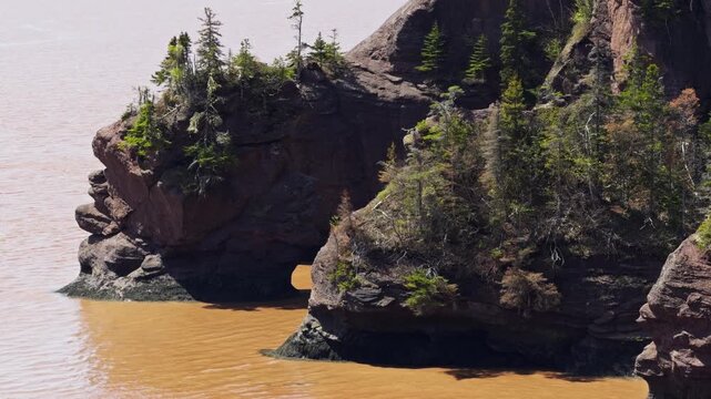 Explore Hopewell Rocks in New Brunswick at low tide. Witness the unique Flowerpot Rocks surrounded by water and trees during sunrise along the Bay of Fundy