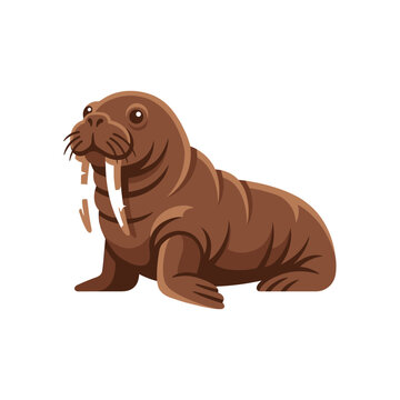 Brown Walrus Sitting on Ground.