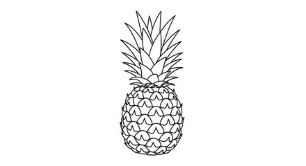 Obraz premium Pineapple Fruit Illustration Black and White.