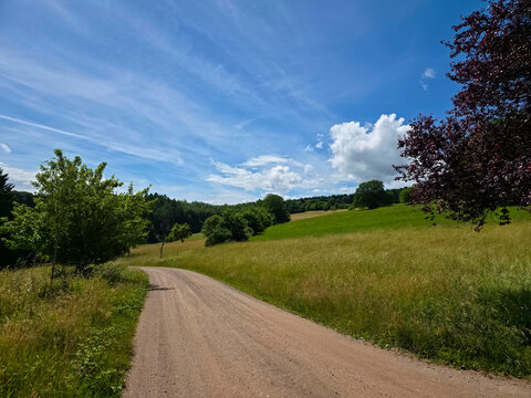 germany, inviting hiking path crossing beautiful black forest landscape beneath gentle clouds and endless summer greenery