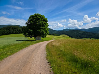 Fototapeta premium germany, magnificent old tree and tiny chapel beside curved hiking path beneath painted summer clouds
