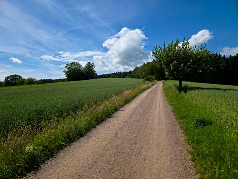 germany, straight hiking path beside forest edge under brilliant blue sky and drifting summer clouds
