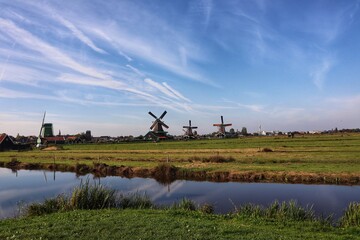 Fototapeta premium dutch landscape with windmill