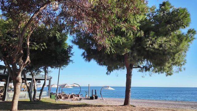 Outdoor beach cafe with seating area and parasols framed by pine trees overlooking calm Mediterranean sea in Antalya.