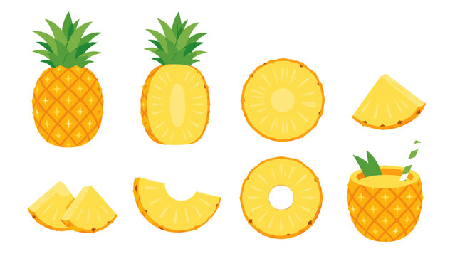 Pineapple fruit set with slices rings and tropical drink vector