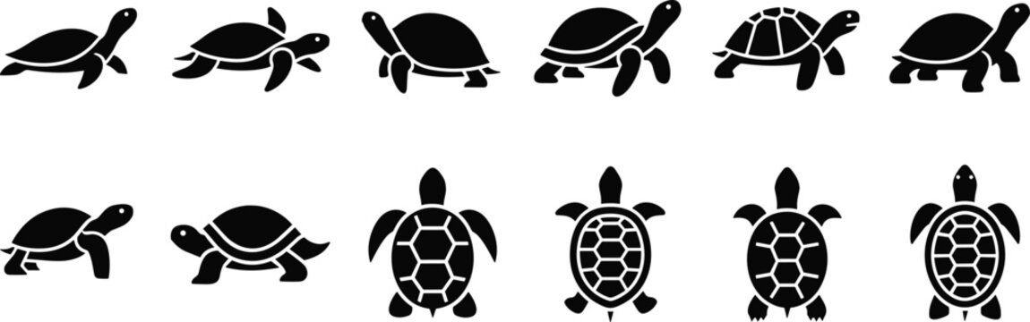 Turtle silhouette collection, reptile shell patterns, aquatic animal icons, wildlife illustration set, marine life design, black vector turtle graphics