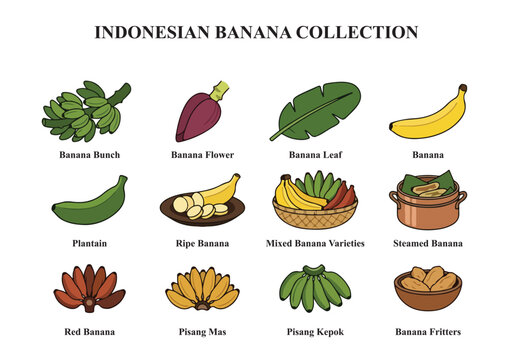 Indonesian Banana Collection