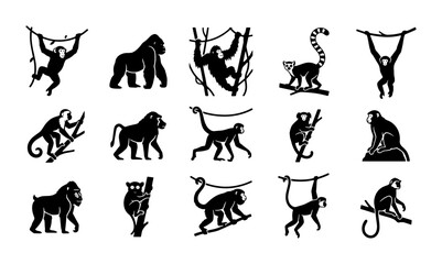 Primate silhouette collection with 15 monkey icons, black and white jungle animal vector set, gorilla and chimpanzee wildlife illustrations © Asset Aura