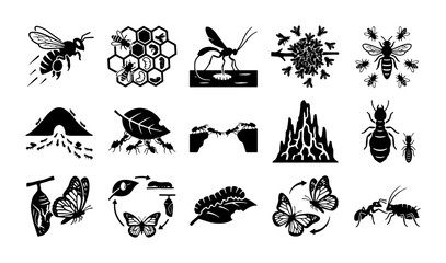 Black insect icons set, 15 vector elements of bees and ants, butterfly life cycle and honeycomb graphics, entomology nature symbols © Asset Aura
