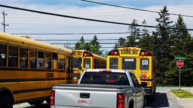 School buses line up on a street in Halifax, Nova Scotia as they stop for students crossing the road. Cars wait behind the buses at the stop sign