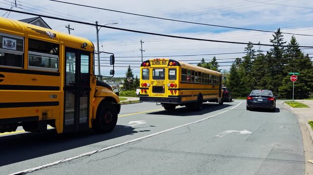 Several school buses are seen driving on a road in Halifax, Nova Scotia. Cars are waiting near a stop sign as the buses pass by during the day