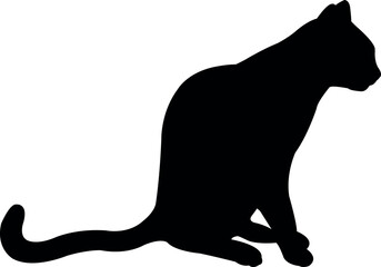 a cat body silhouette vector © turkishblue