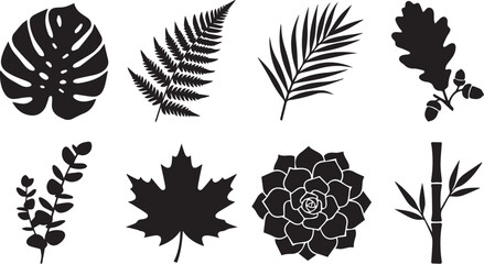 Vector silhouettes of various plant leaves and botanical elements including monstera fern palm oak maple eucalyptus succulent and bamboo © MstNajma