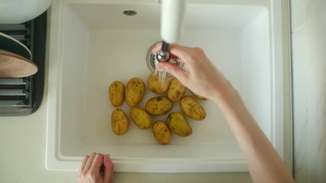 Female hands carefully washing raw, unpeeled potatoes under running tap water in clean white sink, preparing fresh organic vegetables for cooking healthy homemade meal at home. Washing raw potatoes