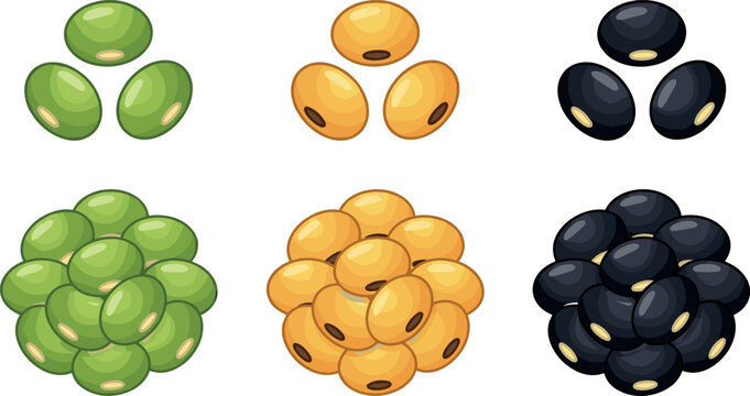 Set of Green, Yellow, and Black Soybean Pile, Soya Bean Seeds Vector Illustration for Healthy Food Design
