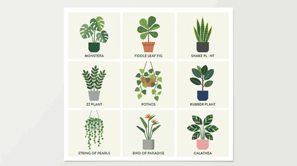 Variety of Potted Houseplants on Display. © Rujak