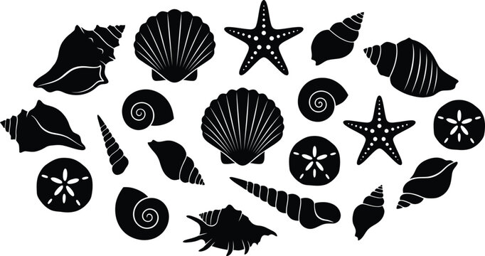 Seashell Icon Set with Black Silhouettes of Mollusks, Starfish, Spiral Shells, and Sea Life on White Background
