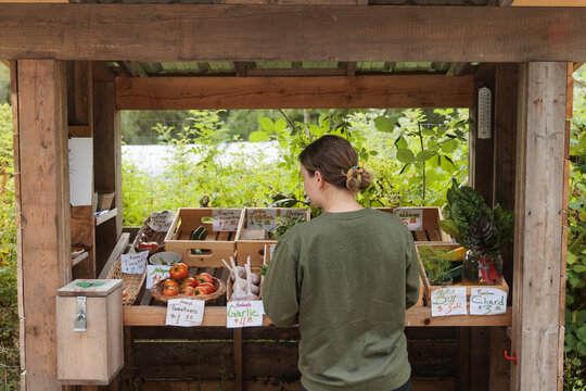 Person shopping for garlic and vegetables at a market in early fall