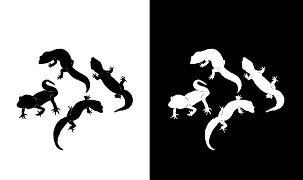 gecko silhouette vector illustration, salamander silhouette vector illustration, silhouette, animal silhouette black, vector, illustration, art, design, black, white, wildlife, lizard silhouette, 