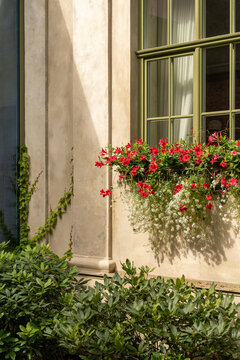 Flower box on classic facade with soft natural light
