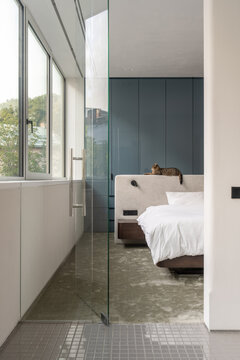 Bedroom with cat and glass bathroom view